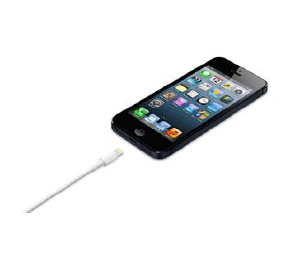 Apple Kabel USB - Lightning 0,5m - 170297 - zdjęcie 5